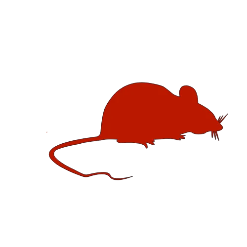 Rodents 2 Rodent